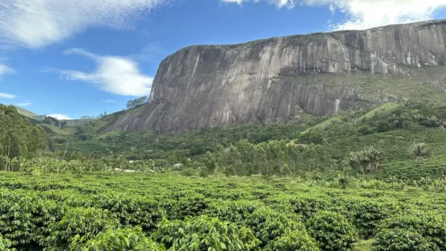 Land preparation at NetZero Brejetuba in Brazil.