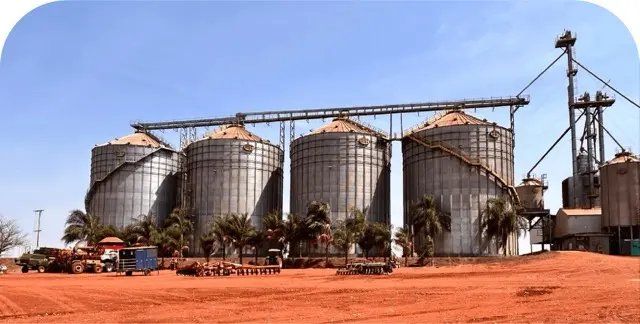 NetZero sugarcane biochar project with Brunozzi
